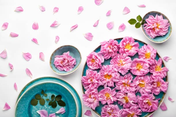 تصویر 2 از گل محمدی معطرترین هدیه طبیعت برای آرامش روح و جان